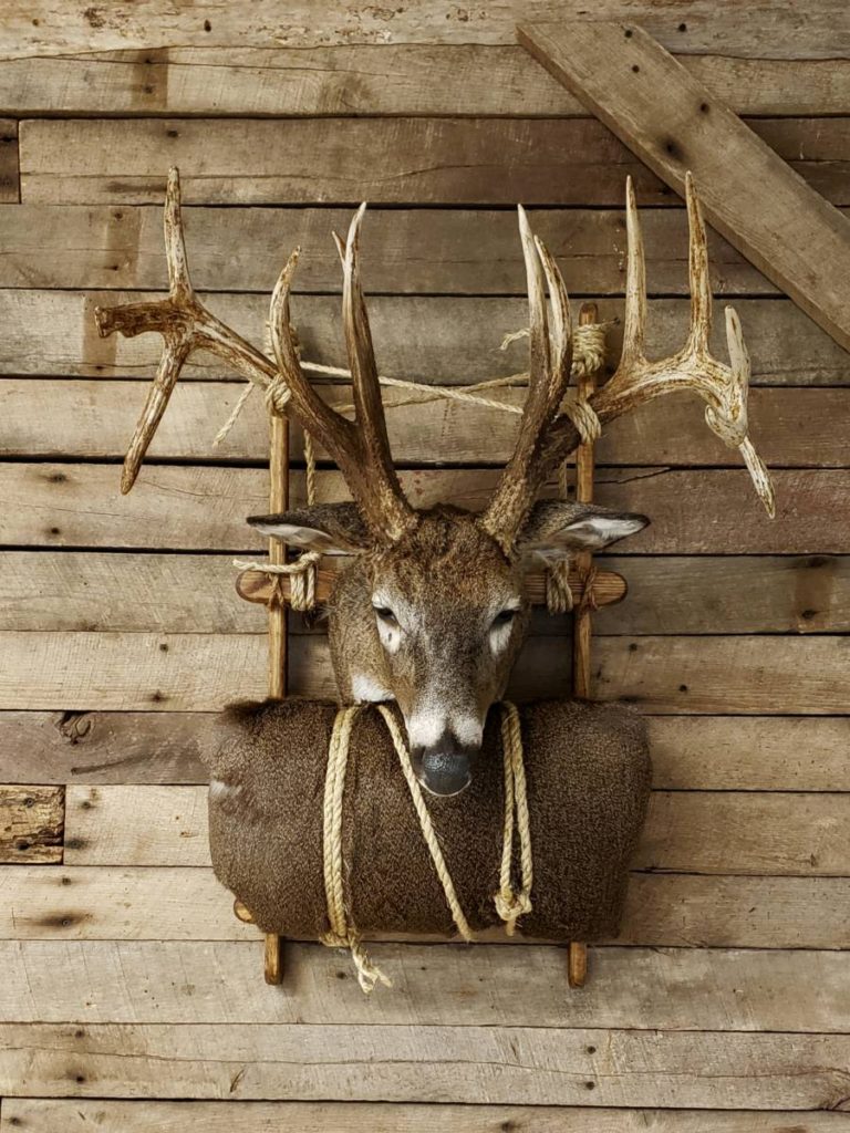 Packmount HIDE ROLL – Revolution Taxidermy